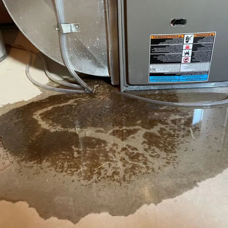 Pipe Burst and Leak Restoration in Glasgow, VA